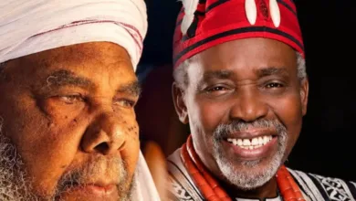 Pete Edochie, Olu Jacobs and the missing link — by Abdullahi Haruna 6 IMG 20261002 083525 6 x 4 inch
