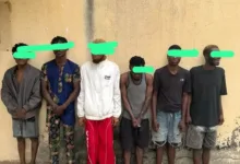 Police arrest six suspected cultists in Osogbo 2 IMG 20261014 170336 6 x 4 inch