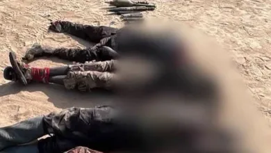Troops kill 48 terrorists, recover arms in Borno, Yobe operations 6 IMG 20261030 151746 6 x 4 inch