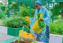 World Food Day: Oluremi Tinubu urges support for farmers, reduction in food waste 2 IMG 2370