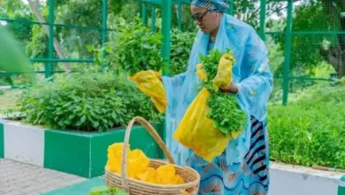 World Food Day: Oluremi Tinubu urges support for farmers, reduction in food waste 6 IMG 2370