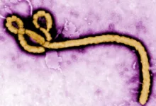 FG confirms Ebola case in Abuja, traces 44 contacts 2 IMG 3789