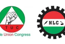 NLC TUC1 1792685907