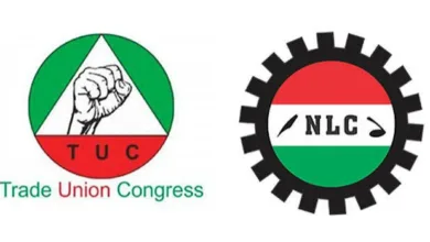 NLC TUC1 1792685907