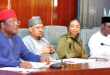 $21.7bn borrowing to fund infrastructure, not consumption, says Oyedele 4 ce157391 2ffb 4456 95f2 84f15a188822