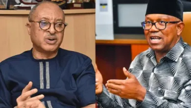 Obi will reduce dollar rate to N500 if elected president, says Utomi 6 images 17 1